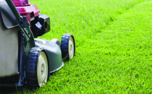 Garden Services Johannesburg