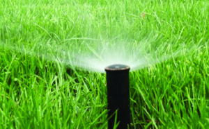 Johannesburg Irrigation & Sprinkler systems